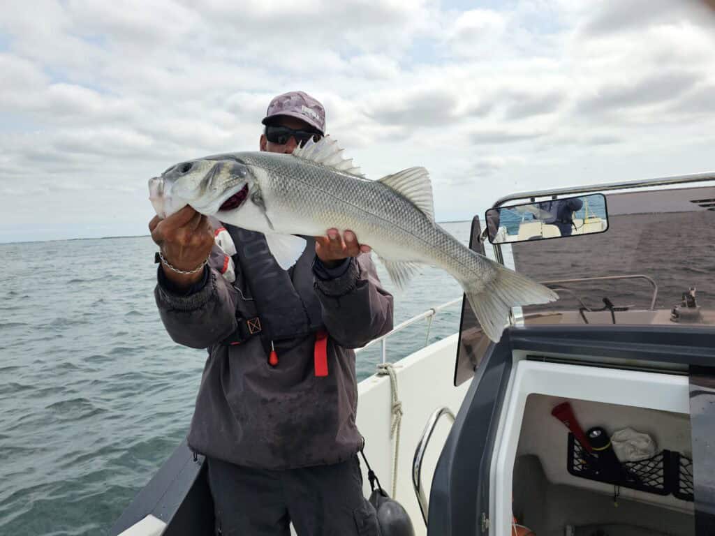 Un bar pris au printemps sur l'&icirc;le de r&eacute;