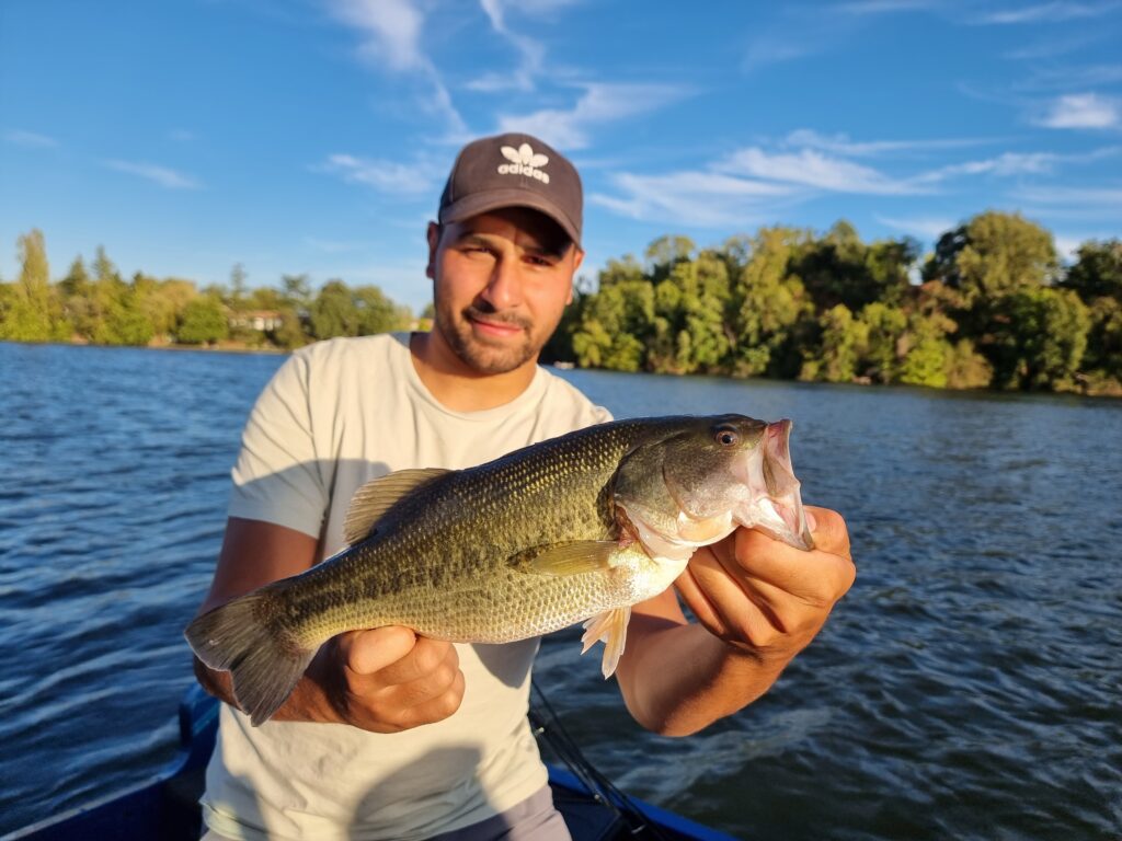 Des Black-bass sur le Tarn (81)
