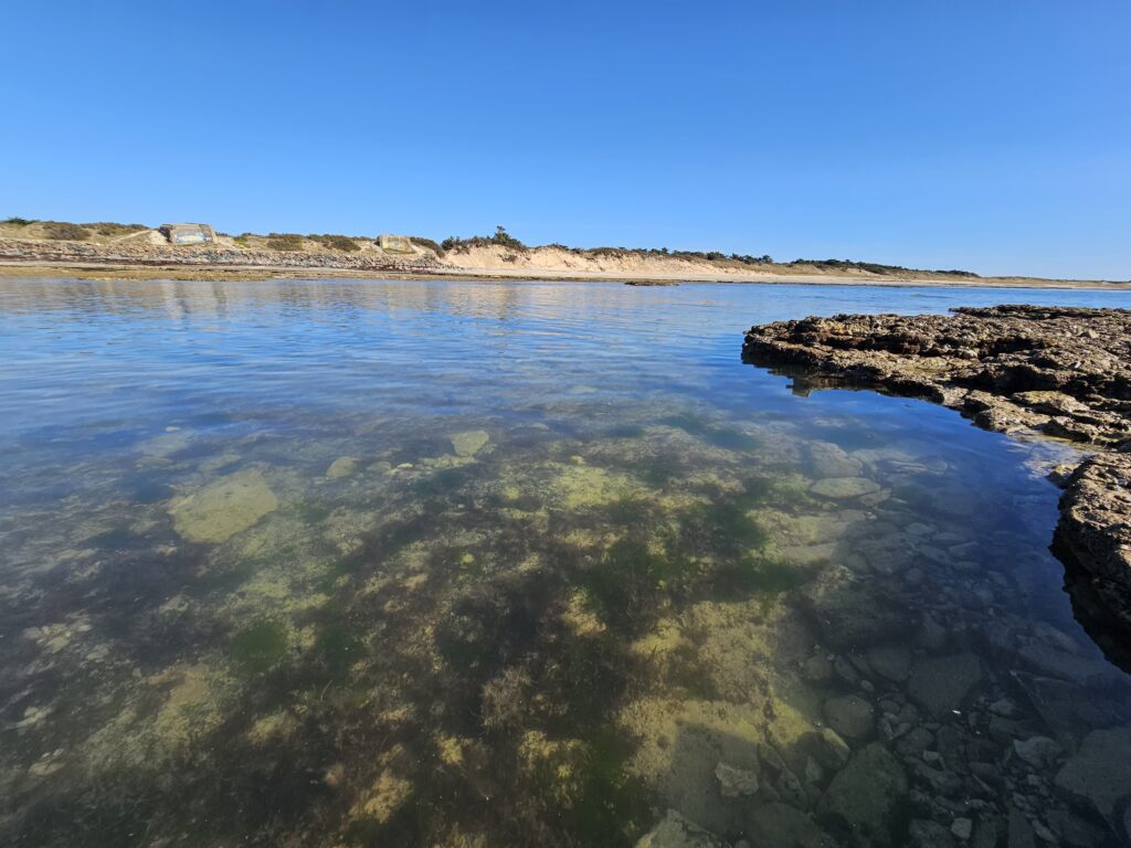 La Pêche en mer à l’Île de Ré