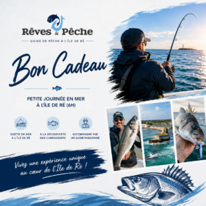 Bon cadeau pêche Île de Ré 6h